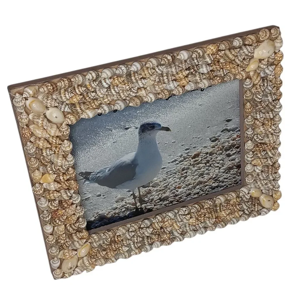 Seashell Tabletop Photo Frame 7.5